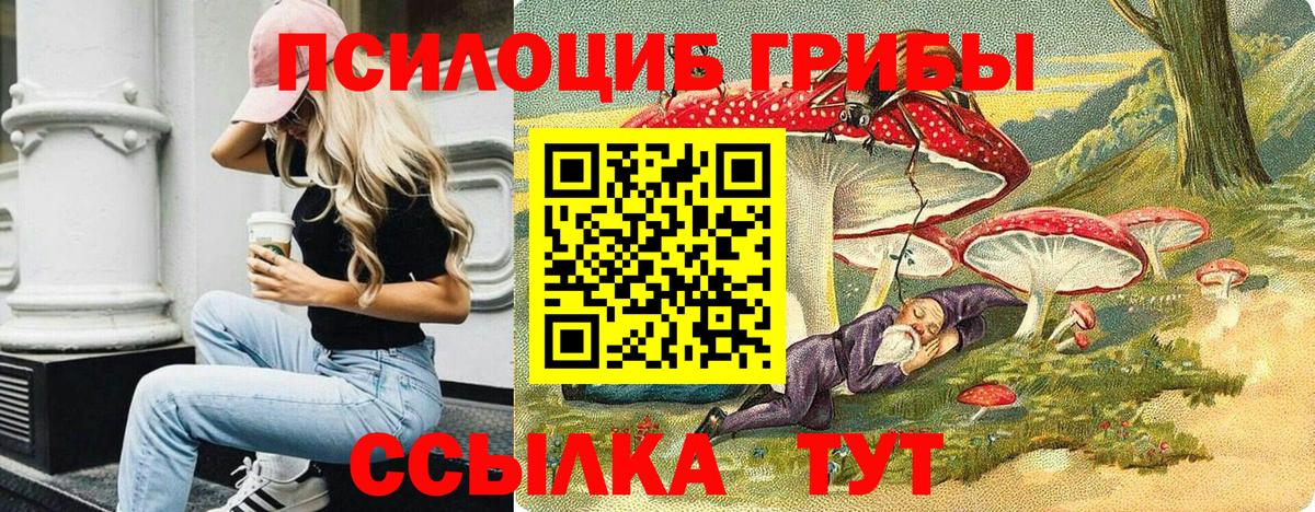 Галлюциногенные грибы прущие грибы  Вход с VPN  Артём  закладки  Псилоцибиновые грибы ЛСД 